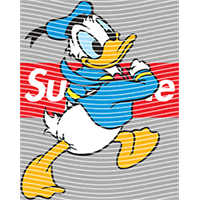 Brand Catalog-ZX 999